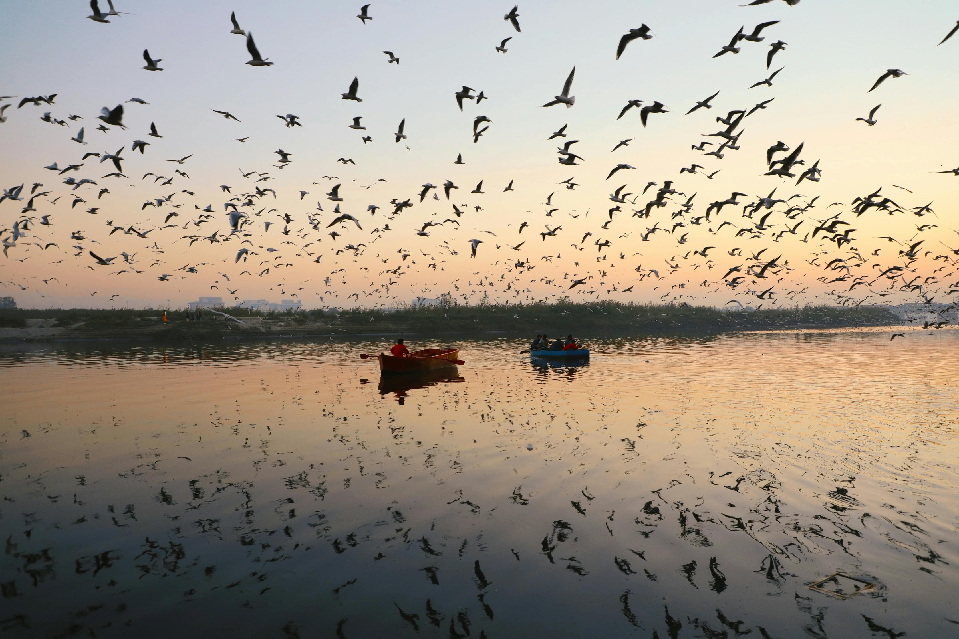 Upgrading Yamuna Expressway with modern LED lights and secure crash barriers.